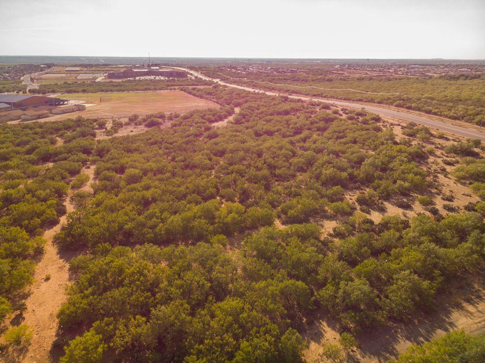 Cielito Lindo Development #5: 05 Cielito Lindo Blvd, Laredo, TX 78046
